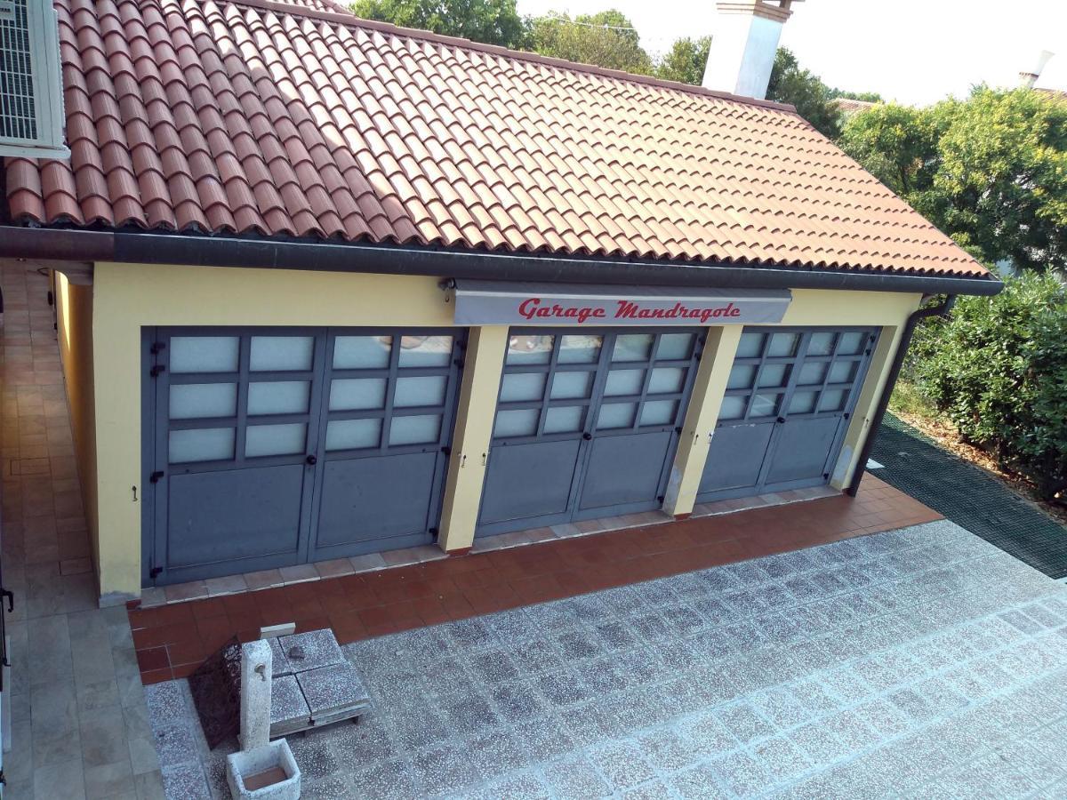 Le Mandragole B&B Roncade Exteriör bild